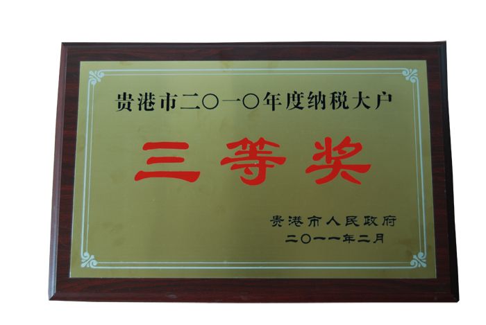 2010年纳税大户三等奖