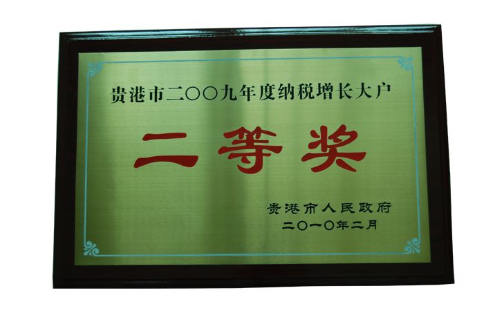 2009年纳税增长大户二等奖