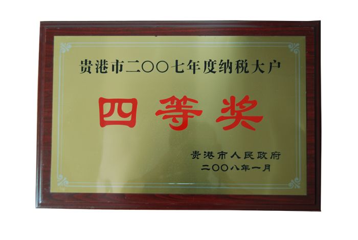 2007年纳税大户四等奖